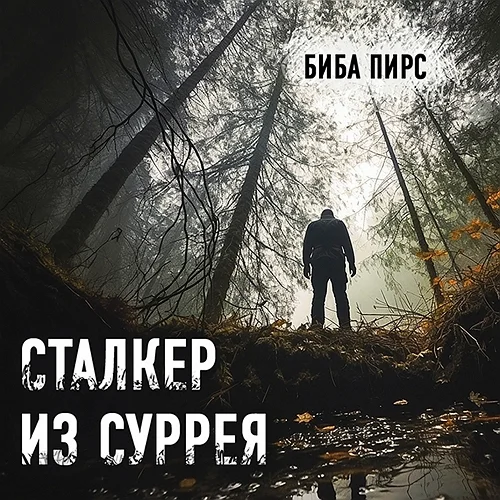 Сталкер из Суррея аудиокнига скачать торрент