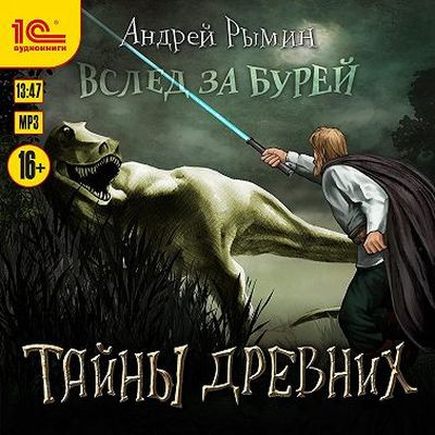 Андрей Рымин - Вслед за Бурей 4. Тайны древних (2023) MP3 аудиокнига скачать торрент