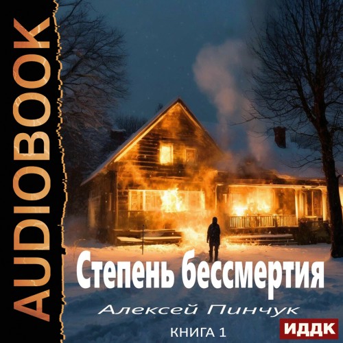 Алексей Пинчук - Степень бессмертия. Книга 1 (2025) МР3 аудиокнига скачать торрент